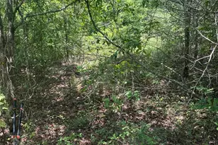 Rutherford Rd, Lexington, SC 29073 - Photo 1