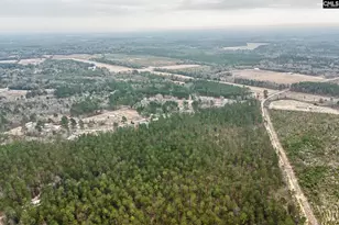 00 Otis Baughman Sr Rd, Wagener, SC 29164 - Photo 1