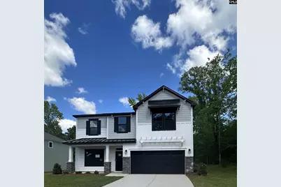 195 Collins Cove Drive, Chapin, SC 29036 - Photo 1