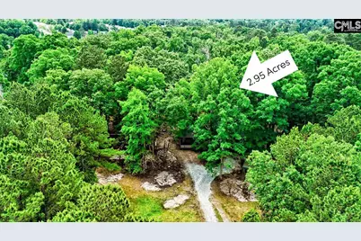 1021 Old Bush River Road, Chapin, SC 29036 - Photo 1