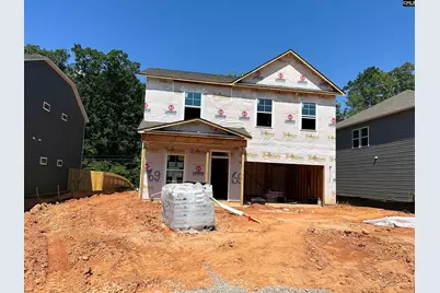 1077 Flat Coat Lane, Chapin, SC 29036 - Photo 1