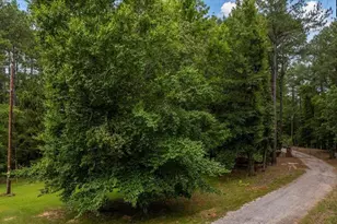 301 Bobs Pointe Ln, Jenkinsville, SC 29065 - Photo 1