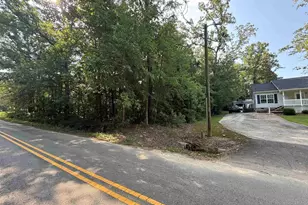 533 Newberry Dr, Chapin, SC 29036 - Photo 1