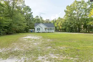 266 Summerland Ct, Pelion, SC 29123 - Photo 1