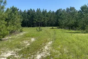 3099 Arcadia Rd, Bethune, SC 29009 - Photo 1