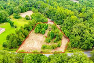 Lot B2 Stokes Bridge Road W, Bishopville, SC 29010 - Photo 1