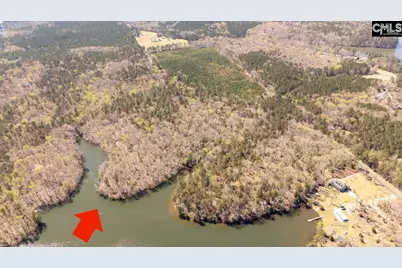 0 Ivy Link Road, Leesville, SC 29070 - Photo 1