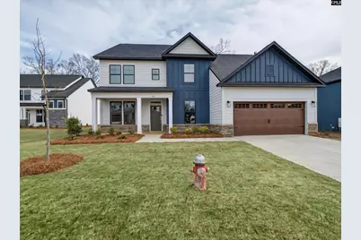 28 Elk Run Court, Chapin, SC 29036 - Photo 1