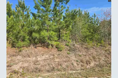 952 Mt Zion Road, Camden, SC 29020 - Photo 1
