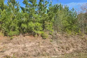 952 Mt Zion Rd, Camden, SC 29020 - Photo 1