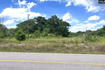 1536 Conagree Road, Hopkins, SC 29061 - Photo 1