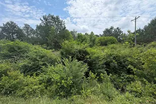 996 Corbett Ml Rd, Bishopville, SC 29010 - Photo 1