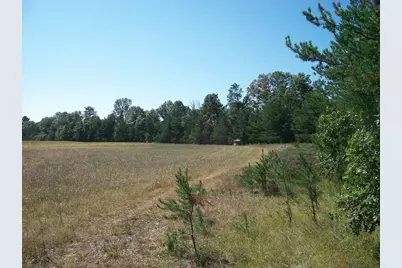 38 Acres 18th St, Necedah, WI 54646 - Photo 1