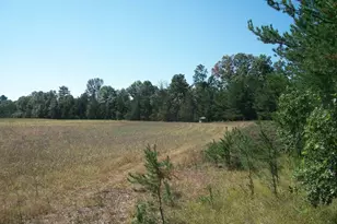 38 Acres 18th St, Necedah, WI 54646 - Photo 1