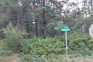 Lot 21 N Duck Creek Ct, Adams, WI 53910 - Photo 1