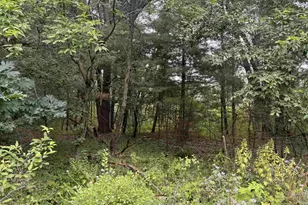0 46 Ac Busse Ln, Lake Delton, WI 53940 - Photo 1