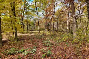 L9 St Lawrence Bluff Rd, Poynette, WI 53955 - Photo 1