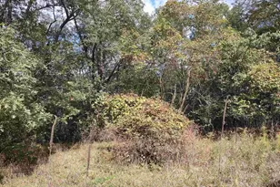 L96 Golf Ridge Circle, Montello, WI 53949 - Photo 1