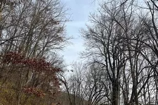 16168 Deer Valley Trail, Ferryville, WI 54628 - Photo 1