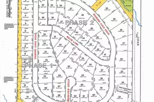 Lot 25 Diamond Oaks Dr, Ridgeville, WI 53533 - Photo 1