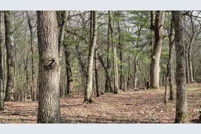 25.66 Acres 51st Street, Mauston, WI 53948 - Photo 1