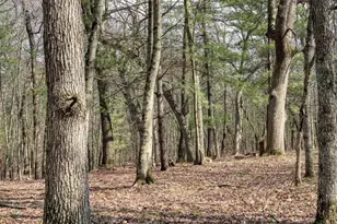 25 66 Acres 51st St, Mauston, WI 53948 - Photo 1