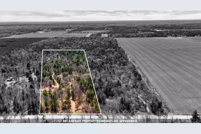 19.93 Acres 16th Avenue, Necedah, WI 54646 - Photo 1