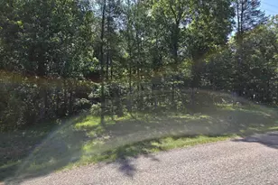 0 13th Dr, Friendship, WI 53934 - Photo 1