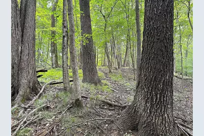 37.5 +/- Acres South Sleepy Hollow Road, Gays Mills, WI 54631 - Photo 1