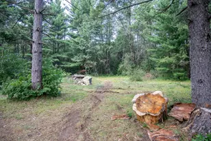 N12503 County Rd G, Necedah, WI 54646 - Photo 1