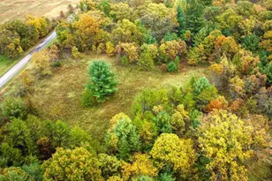 40+/- Acres Edgewood Dr, Adams, WI 53910 - Photo 1