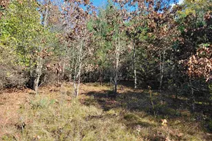 W1782 Fawn Ct, Montello, WI 53949 - Photo 1