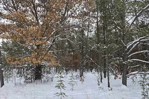 Parcel 12 17th Ave, Necedah, WI 54646 - Photo 1