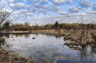 7223 County Hwy V, Marshfield, WI 54449 - Photo 1