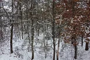 Lot 261 Tomahawk Trail, Necedah, WI 54646 - Photo 1