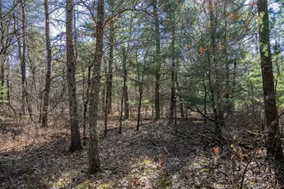 Lot 3 Morros Mile Road, Necedah, WI 54646 - Photo 1
