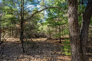 Lot 4 Morros Mile Rd, Necedah, WI 54646 - Photo 1