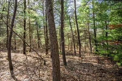 Lot 2 19th Avenue, Necedah, WI 54646 - Photo 1