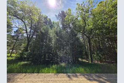 Lot 4 Czech Court, Friendship, WI 53934 - Photo 1