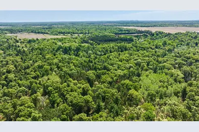 40+/- Acres Highway 13, Friendship, WI 53934 - Photo 1