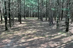 5 7 Acres Browndeer Ave, Friendship, WI 53934 - Photo 1