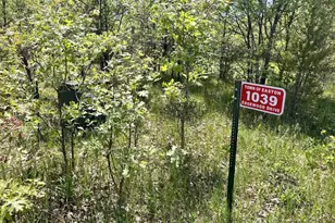1039 Edgewood Dr, Adams, WI 53910 - Photo 1