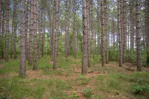 Lot 10 County Road G, Necedah, WI 54646 - Photo 1