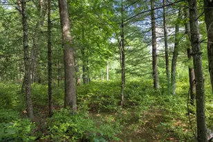 3 Acres 41st St, Mauston, WI 53948 - Photo 1