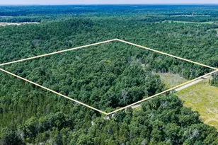 40+/- Acres 13th Dr, Friendship, WI 53934 - Photo 1