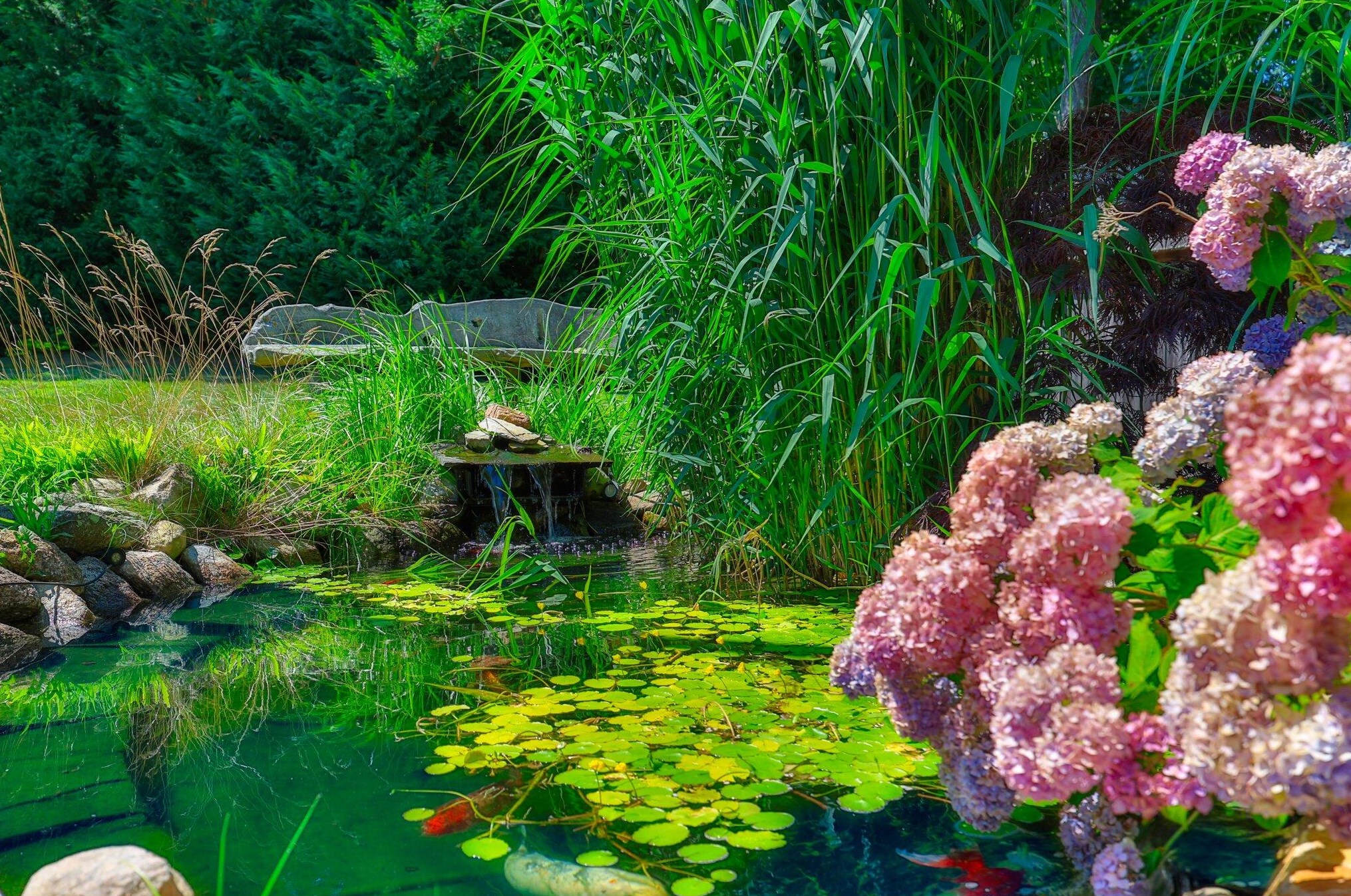 317 Orleans Rd, Orleans MA  02653-4002 exterior