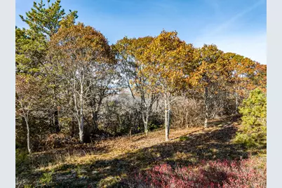 43 Old County Road, Truro, MA 02666 - Photo 6