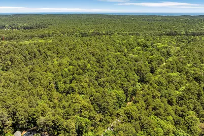 175 Delphi Path, Wellfleet, MA 02667 - Photo 8