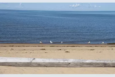 495 Aspinet Road, Eastham, MA 02642 - Photo 48