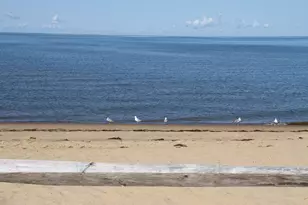 495 Aspinet Rd, Eastham, MA 02642 - Photo 48